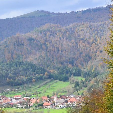 Vila Hisa Haasberg Planina  Exteriér fotografie