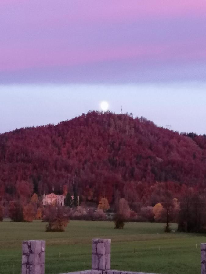 Vila Hisa Haasberg Planina  Exteriér fotografie