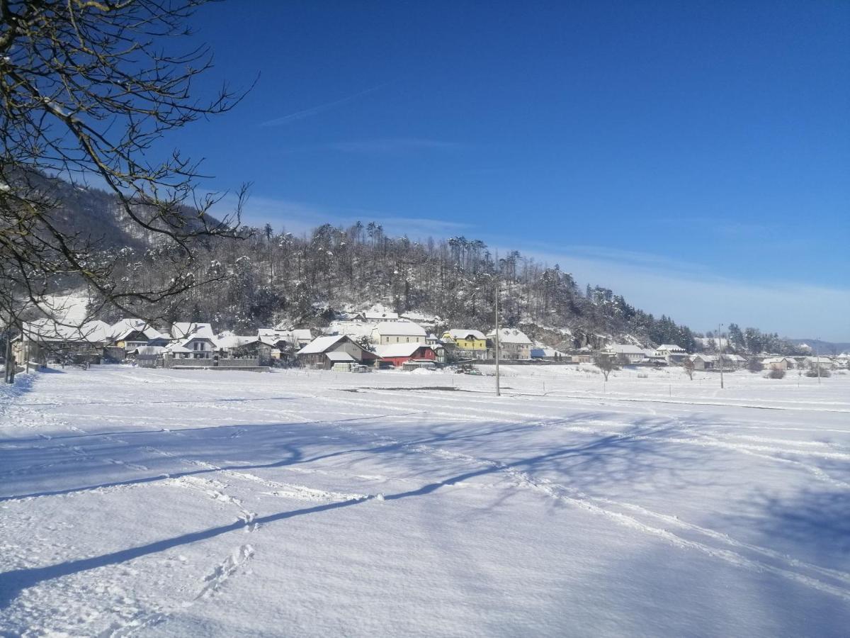 Vila Hisa Haasberg Planina  Exteriér fotografie