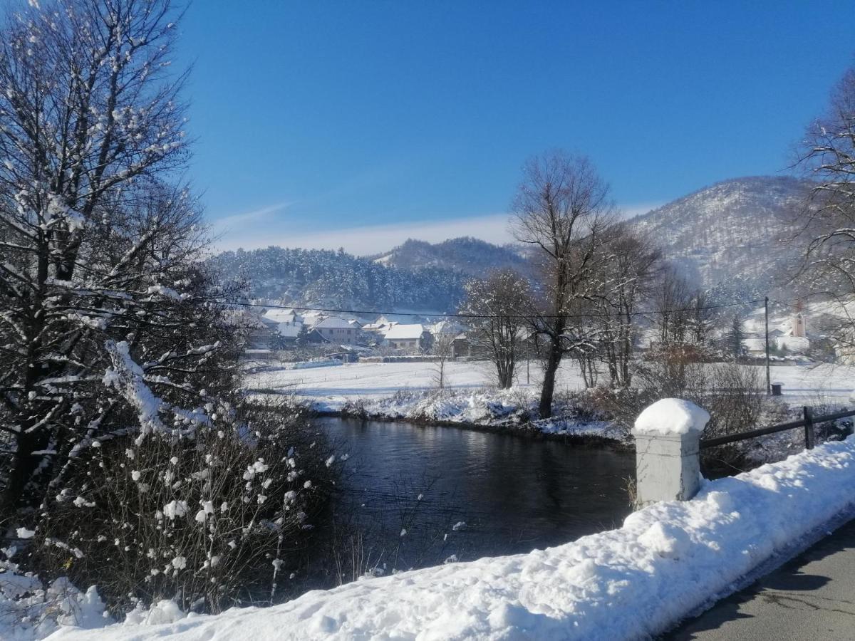 Vila Hisa Haasberg Planina  Exteriér fotografie